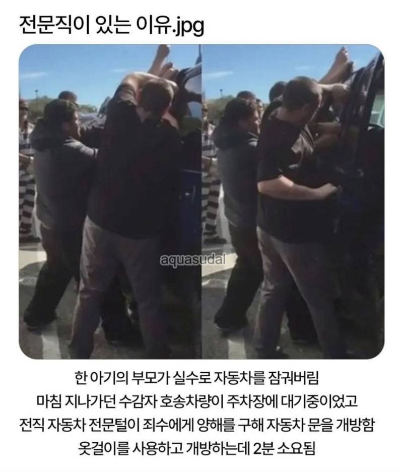 전문직이 존재하는 이유의 내용을 보여주는 이미지