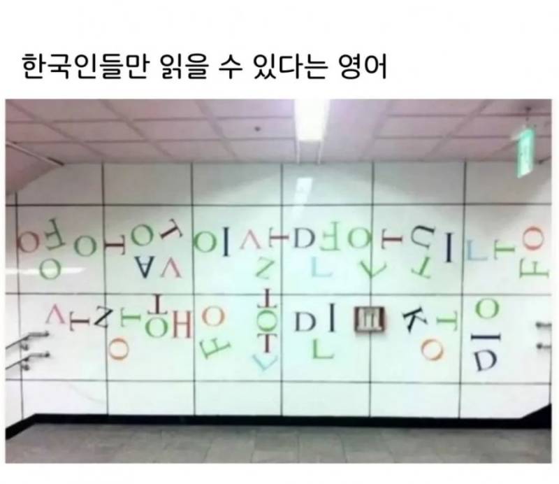 20260806100921_FQTpDfiuzl.jpg
