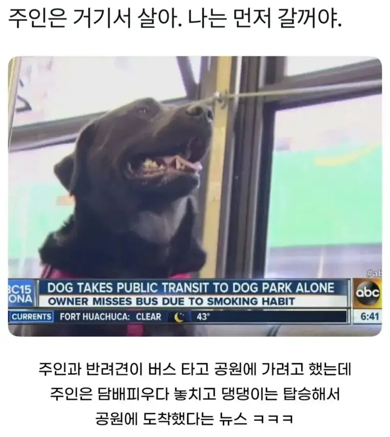 주인은 거기서 살아 난 먼저 갈께의 내용을 보여주는 이미지