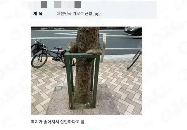 20260809235842_OfiwRhbkRl.webp