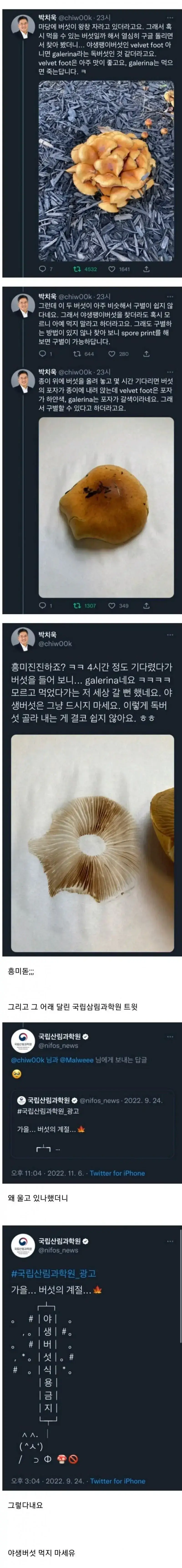20260810121153_pm6I9PfkEZ.webp
