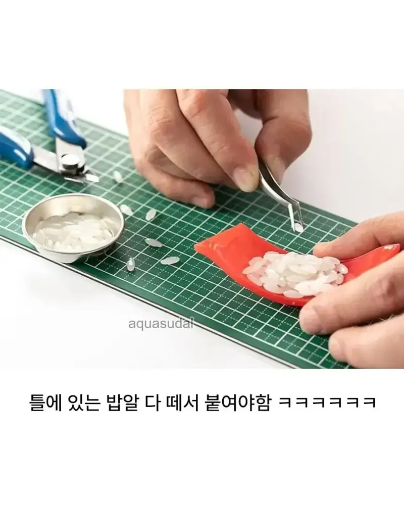 20260810130450_fnKLuAFQdx.webp
