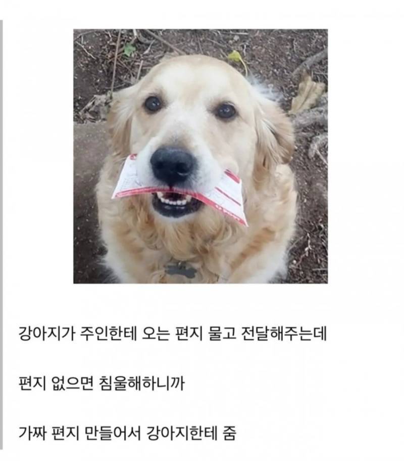 20260810175508_iUOVVHVe4L.png
