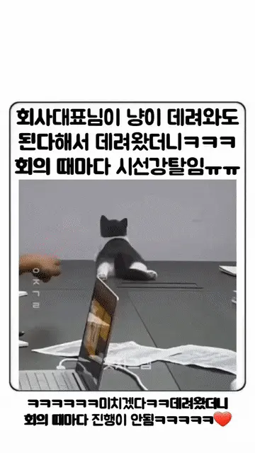 3K8eBLAHHqYK8Su6uIiyQs.webp