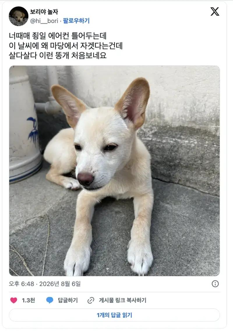 길바닥을 좋아하는 똥개땜에 답답한 견주의 내용을 보여주는 이미지
