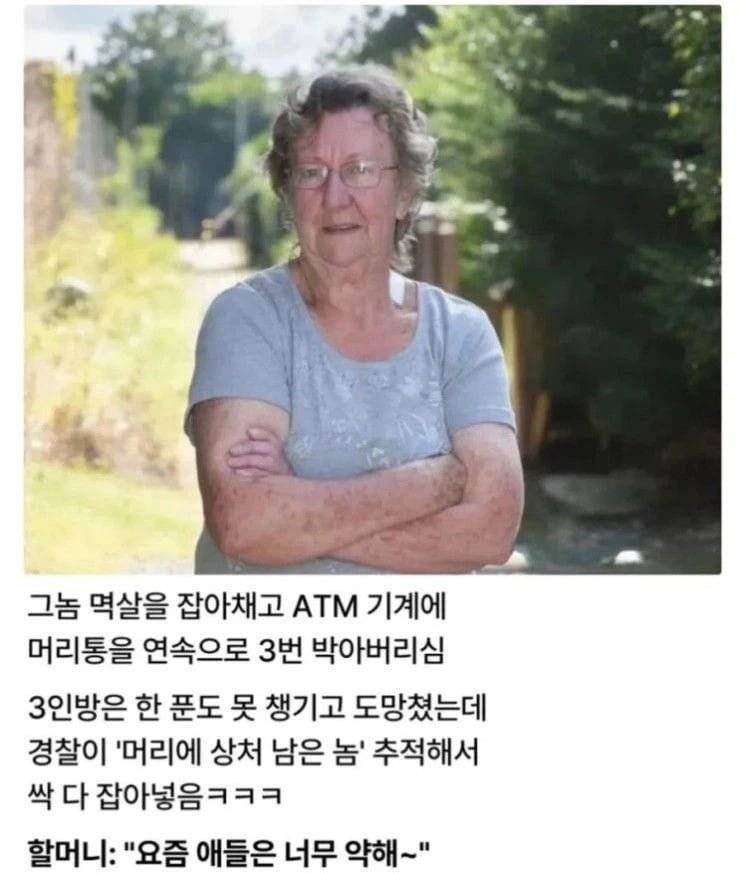 20260812163149_W8m35JP3Qb.png