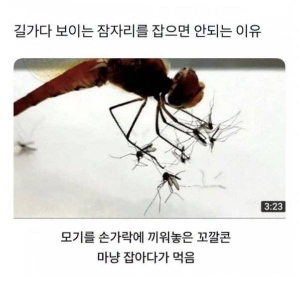 20260813071550_cCVtJq2JiU.jpg