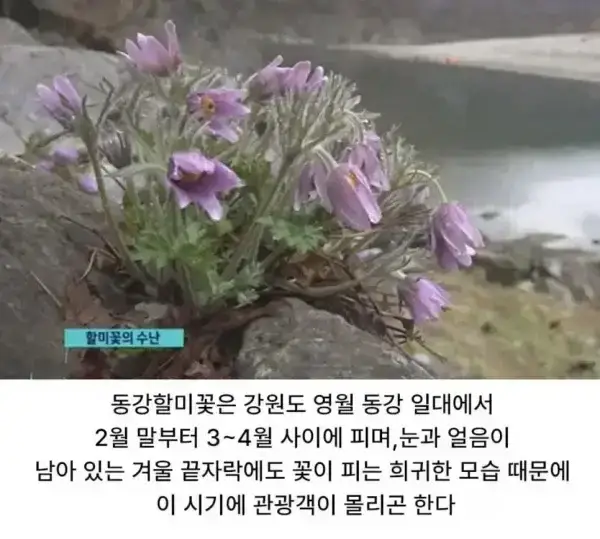 20260813145530_HNAMNljCep.webp