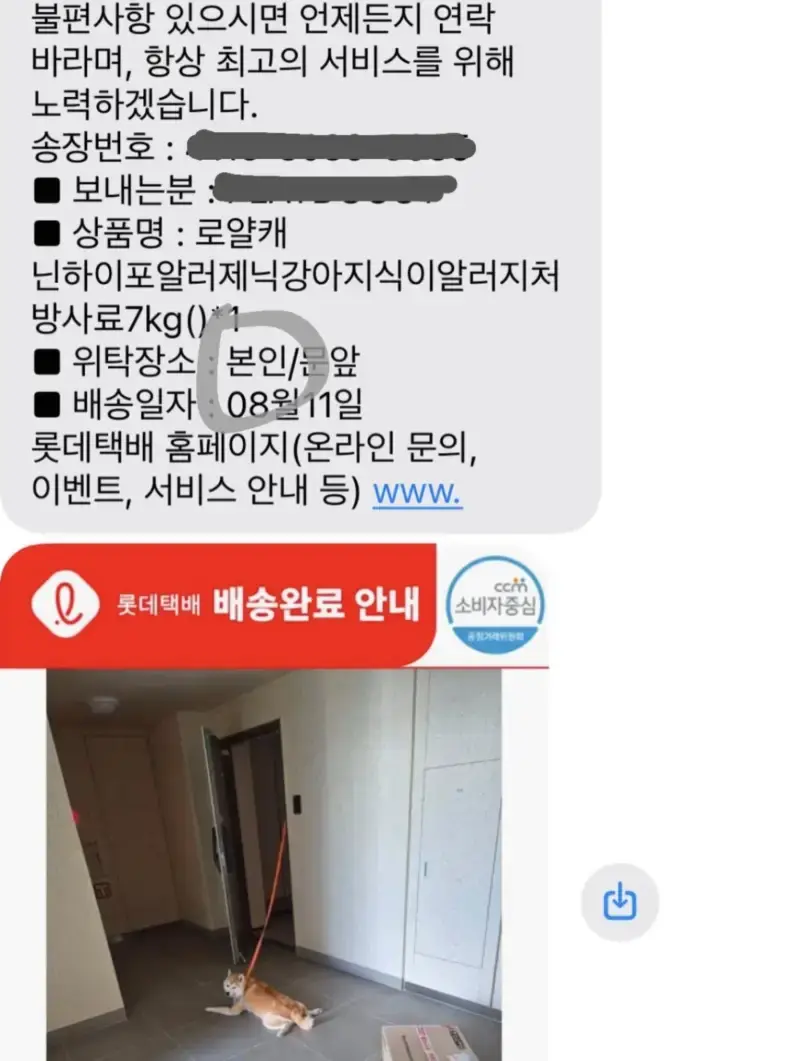 며칠 전에 강아지 밥을 주문해서 오늘 도착했다고 배송문자가 왔는데 진짜로 강아지한테 배송해주고 가셨다의 내용을 보여주는 이미지