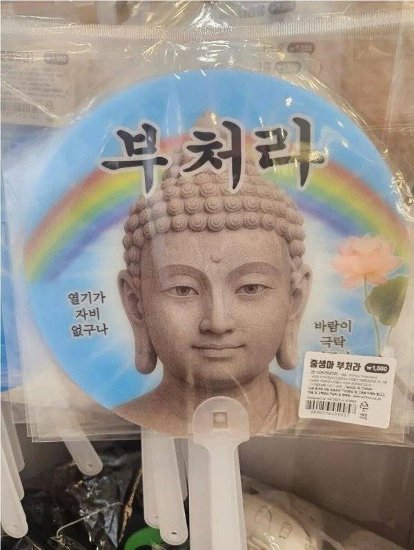 20260814221740_7yDyP0r0jM.jpg