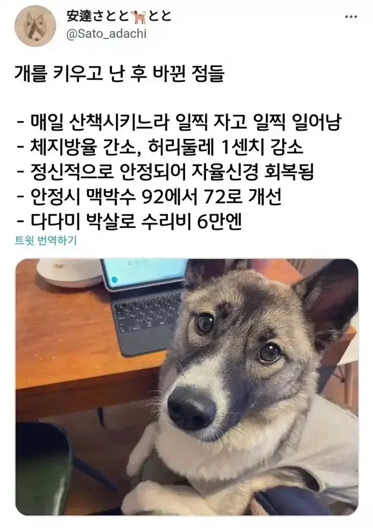 20260815213133_4vOppsRkRv.webp