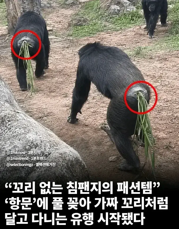 20260816191051_IsVQvPuGdf.webp