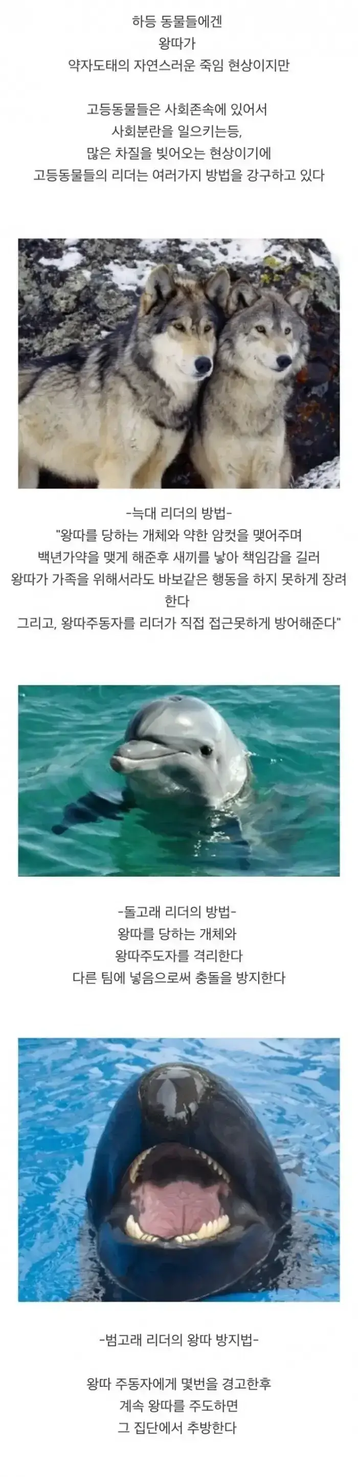 20260817141720_ngqLFsHQA5.webp