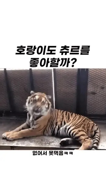 70OfKBYY5qqyU2kyMQIcEE.webp