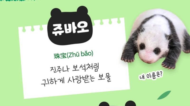 할부지 동생들 이름은 빛나 슬기 새벽(일지 진주 일지 등등)인데의 내용을 보여주는 이미지 관련 이미지 3