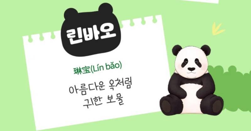 할부지 동생들 이름은 빛나 슬기 새벽(일지 진주 일지 등등)인데의 내용을 보여주는 이미지 관련 이미지 5