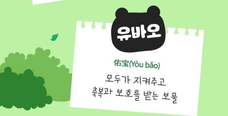 할부지 동생들 이름은 빛나 슬기 새벽(일지 진주 일지 등등)인데의 내용을 보여주는 이미지 관련 이미지 6