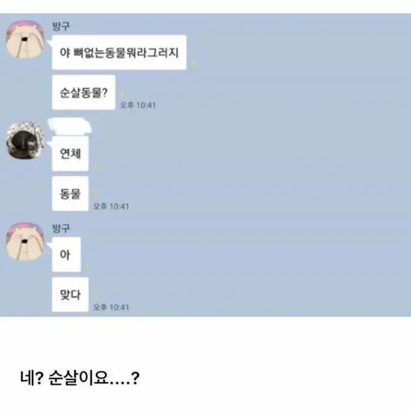 순살동물?의 내용을 보여주는 이미지 관련 이미지 13