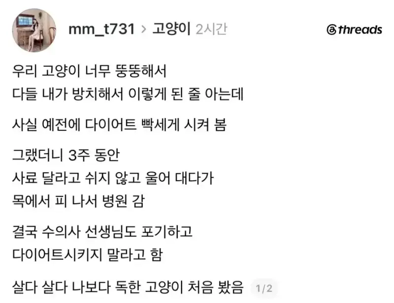 ??: 고양이 살 너무 찌우는 것도 학대다의 내용을 보여주는 이미지