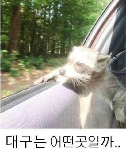 20260822114324_bWKwq0aKvX.jpg