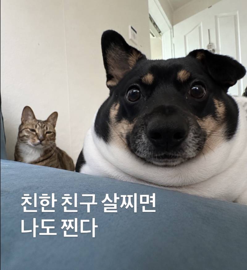 우정이란..의 내용을 보여주는 이미지