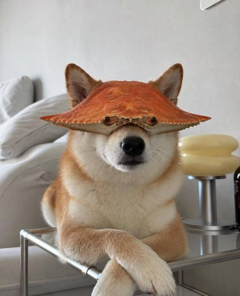 20260824203102_0tQgGeMVvl.jpg