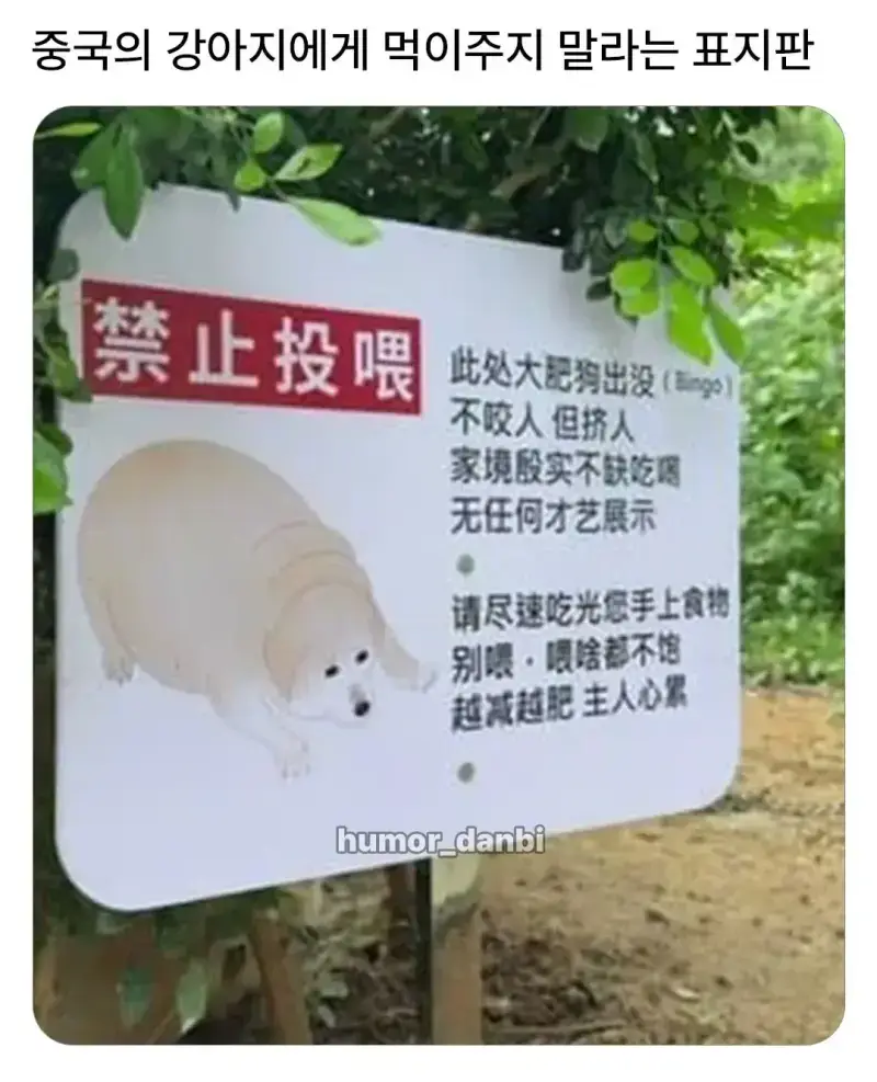 20260825110350_gz3OTJFdDv.webp