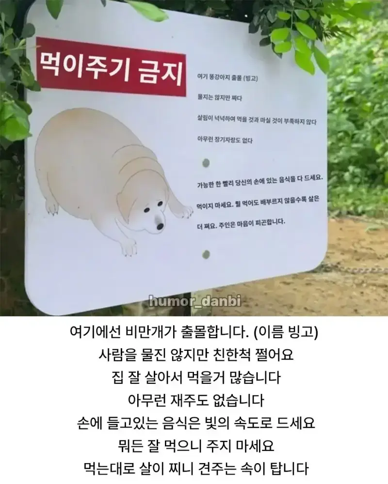 20260825110303_YI0gzDsRIK.webp