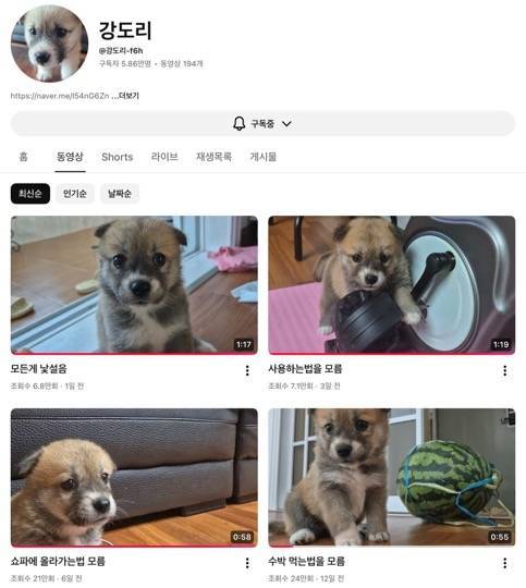 아는게 뭐야의 내용을 보여주는 이미지
