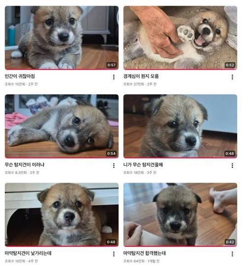 아는게 뭐야의 내용을 보여주는 이미지 관련 이미지 2