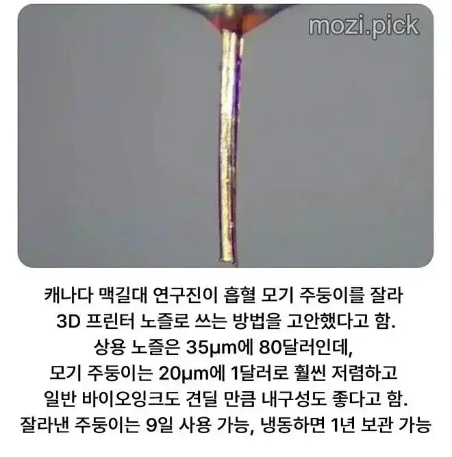 20260825202754_467eDomMDQ.webp