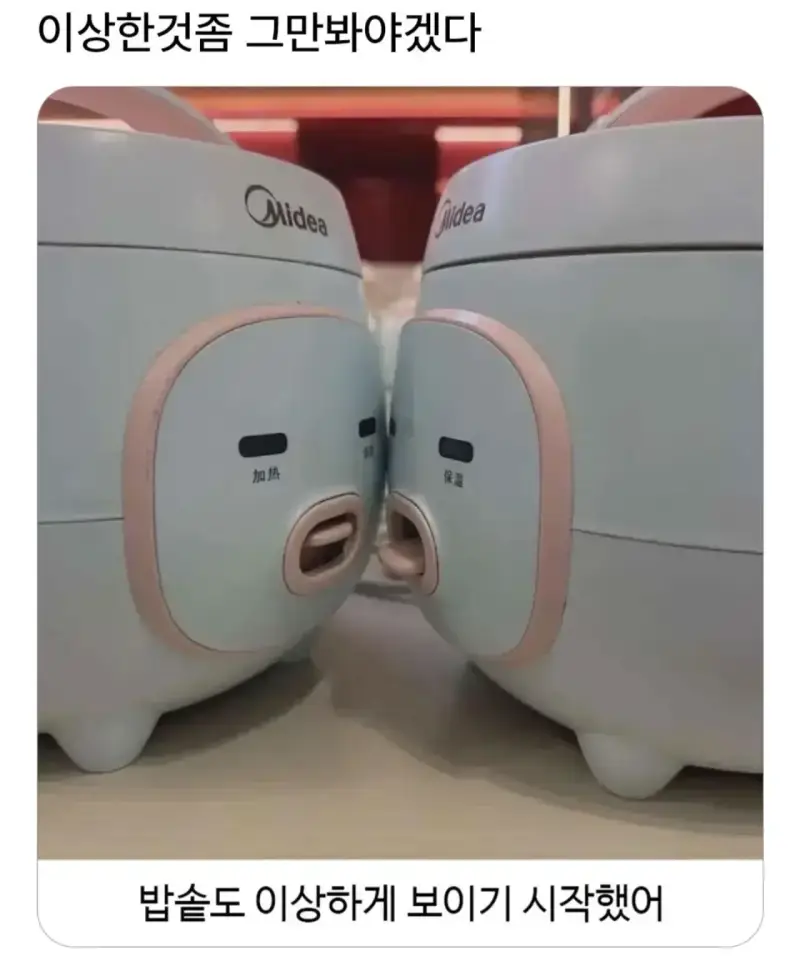 zSWhFT