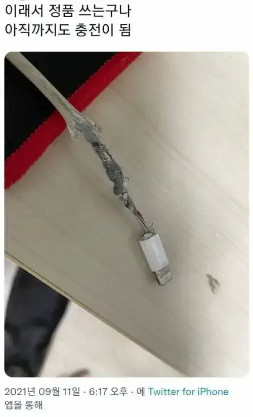 ?: 이래서 정품정품 하는구나의 내용을 보여주는 이미지
