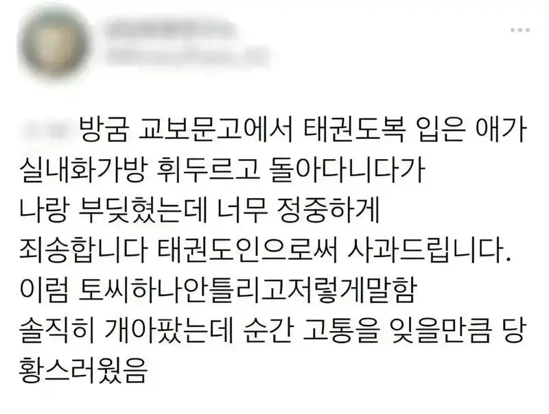 태권도복 입은 애가 실내화가방 휘두르고 돌아다니다가 나랑 부딪혔는데의 내용을 보여주는 이미지