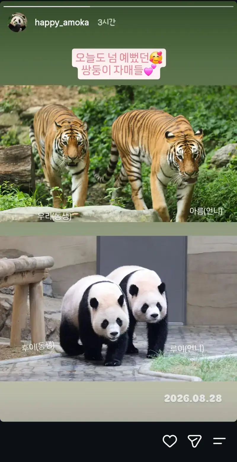 에버 쌍둥이 자매들 넘 이뻐용의 내용을 보여주는 이미지