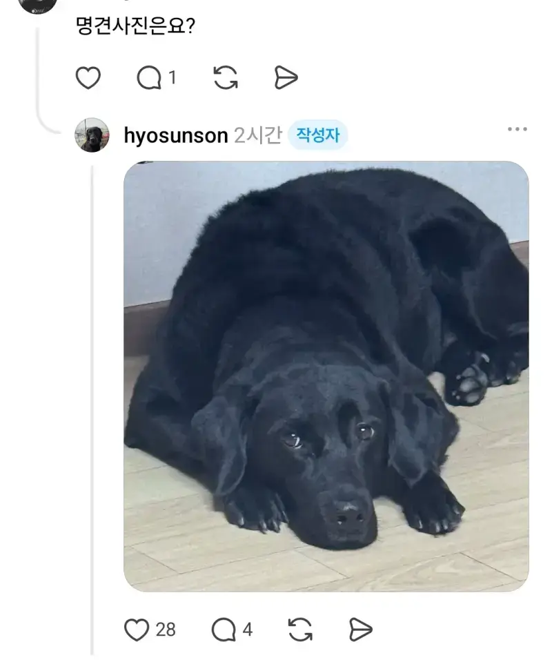 6r0gEV9LOgykySk8ciU604.jpg