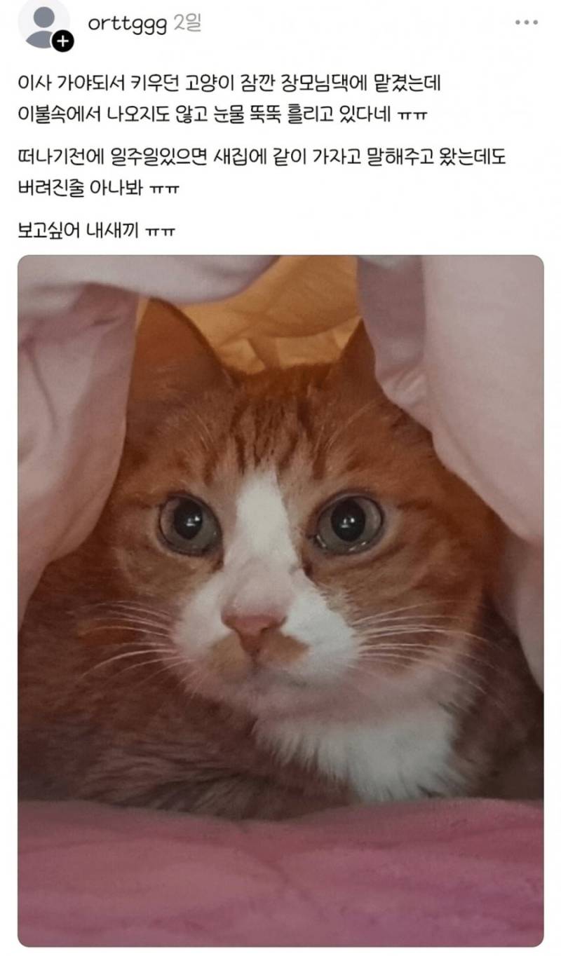 20260715231759_tbf6WoEw3X.png