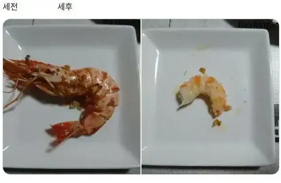 20260715202621_99YKb8VPts.webp