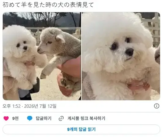 20260714111130_2AkCIzjMYf.webp