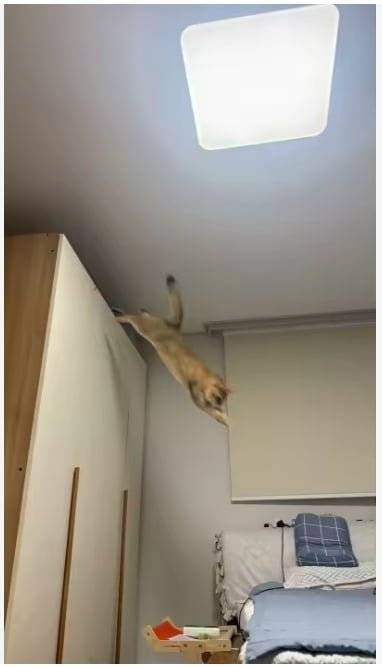 20260901203452_MiGl9RQH6Z.png