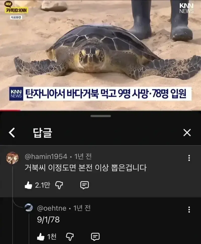 20260902084830_q1Fi03Gcin.webp