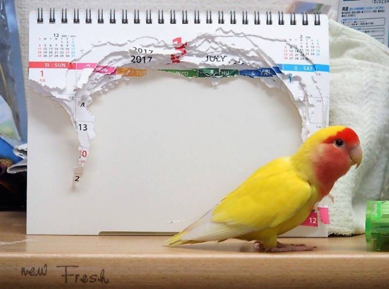 시간을 달리게 해주는 🐦의 내용을 보여주는 이미지