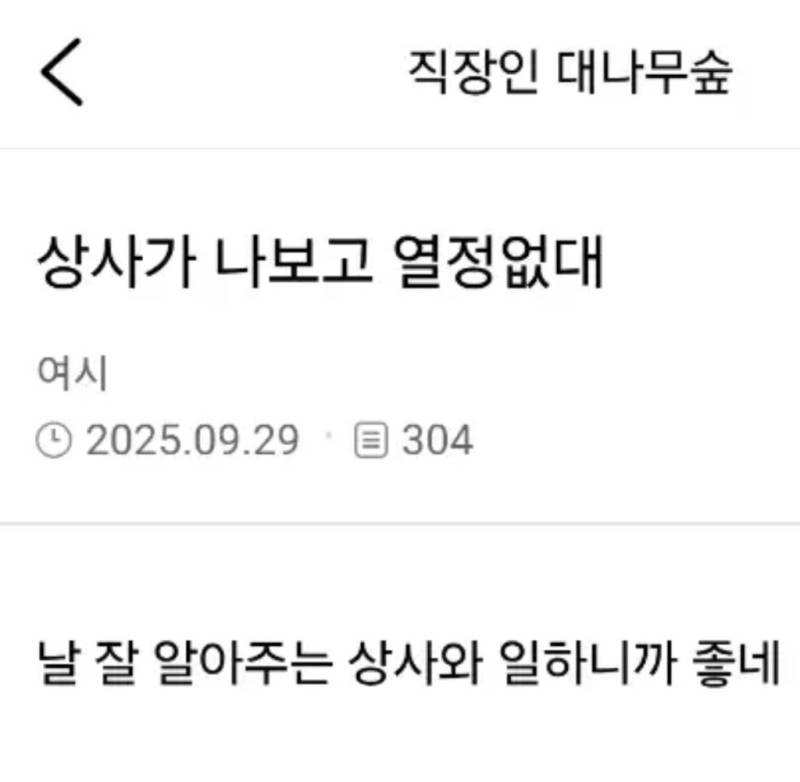 상사가 나보고 열정없대의 내용을 보여주는 이미지
