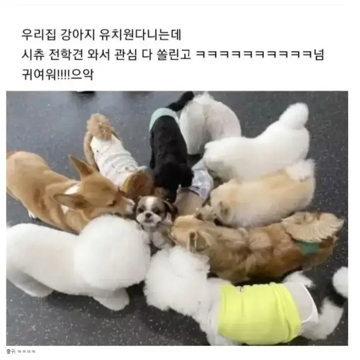 20260904075937_a4y6SGCTld.webp