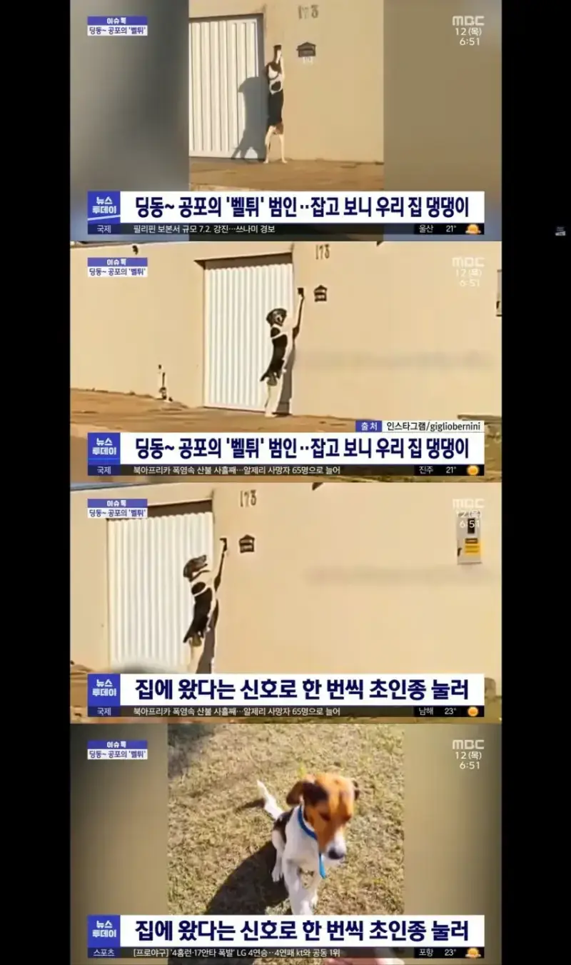 20260905165955_tkYU0fwkOy.webp