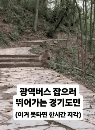 amqTNYjb44KsCOIySSoqk.webp