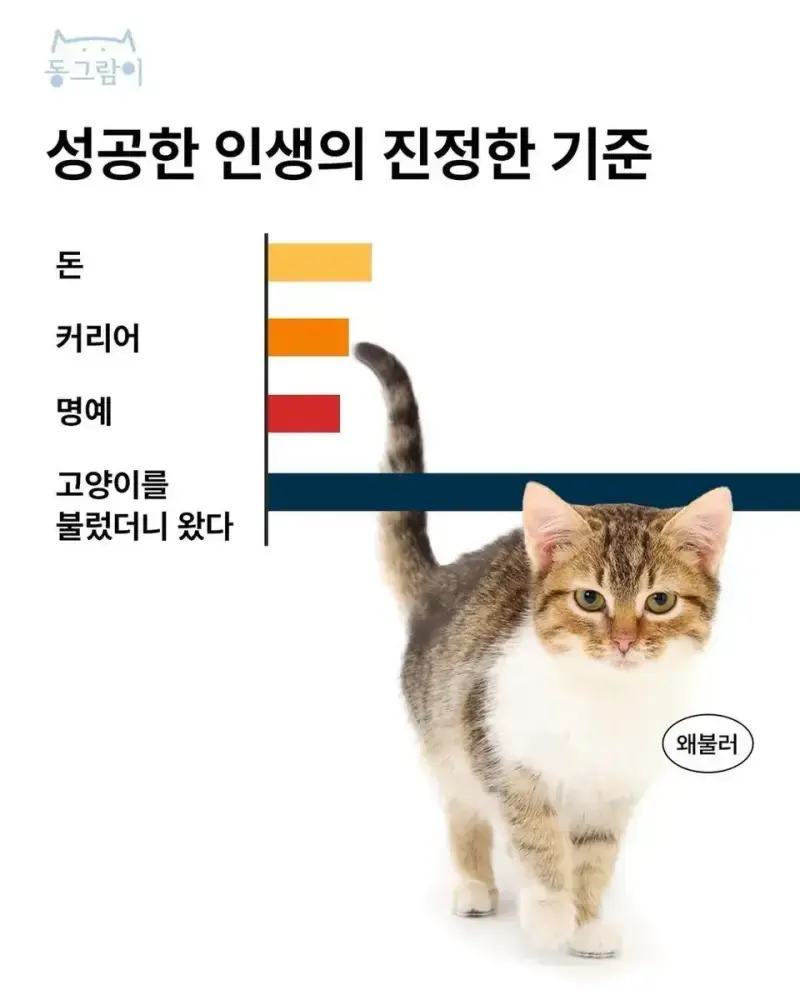 20260906134532_jH0TyDksy5.webp