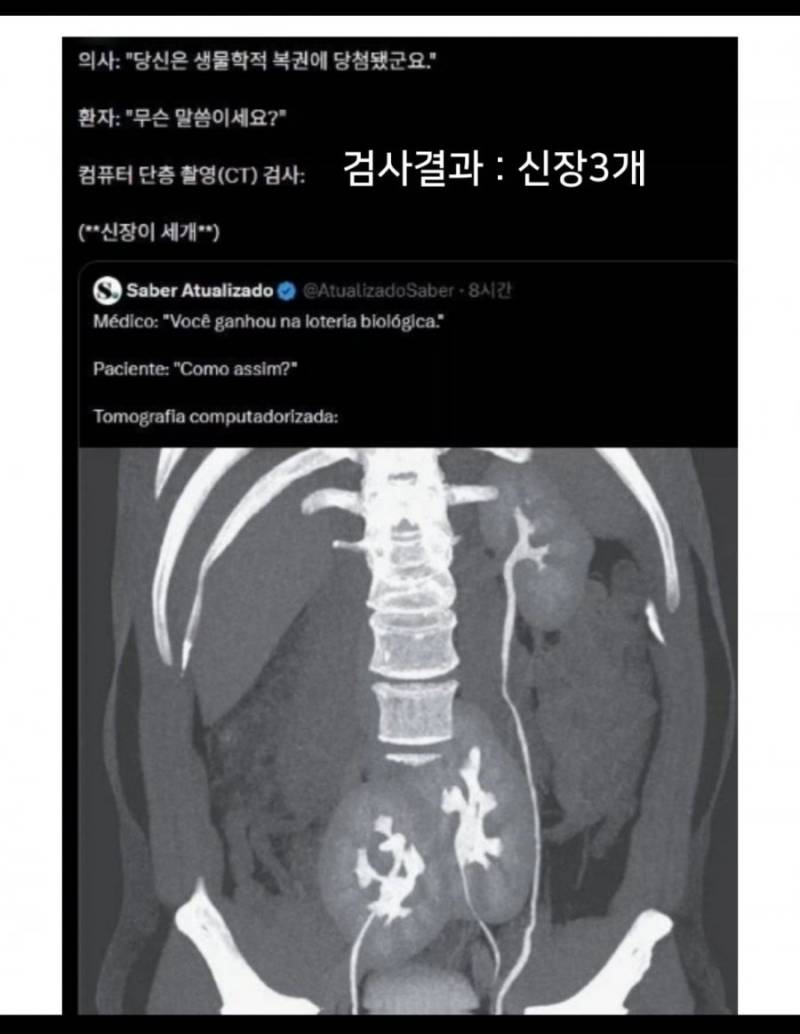 20260906165029_XcIl9dFw9R.png