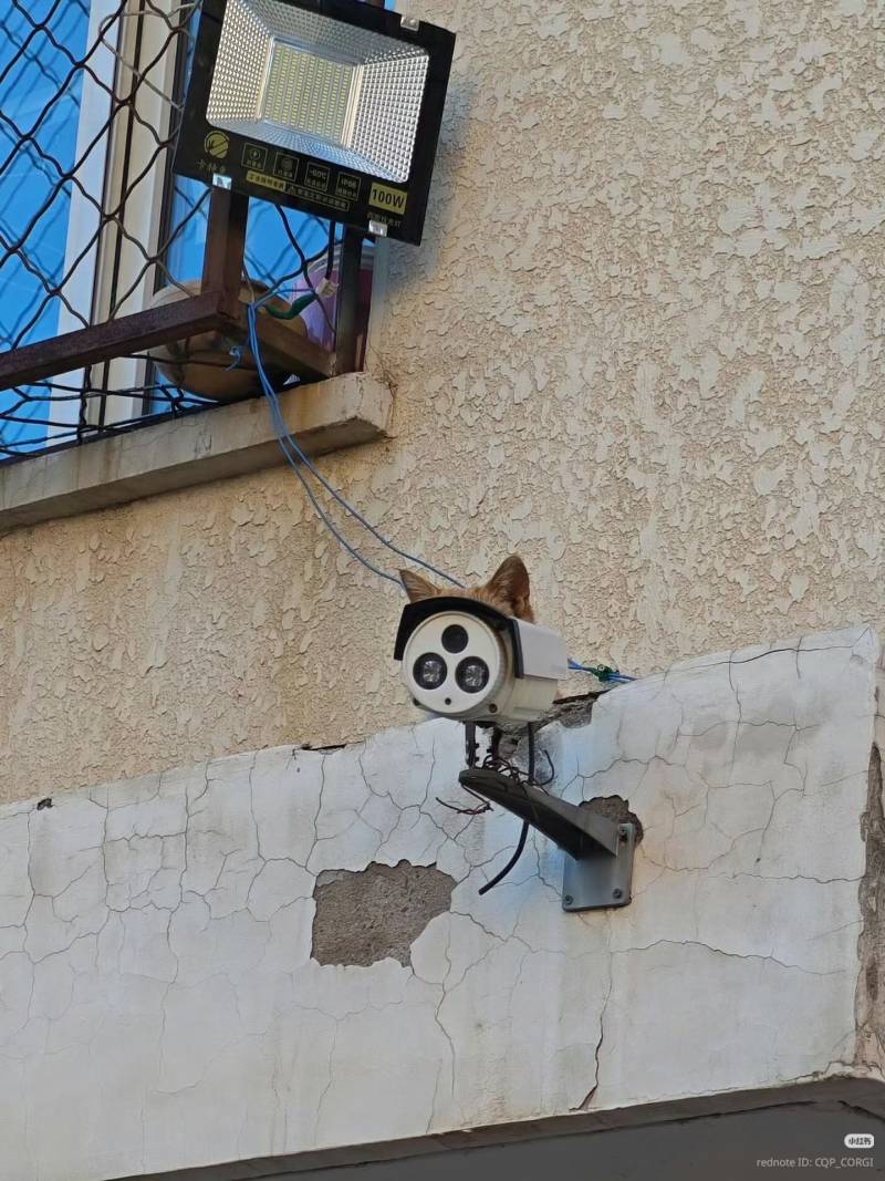 2dYgbXmgC8UOaoIgK2ycUQ.jpg