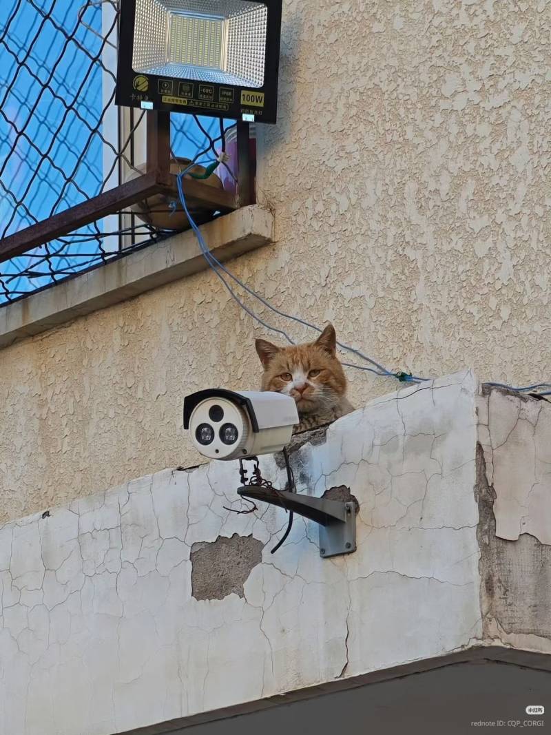 2a0VJPrT8oQMGy0YumueES.jpg